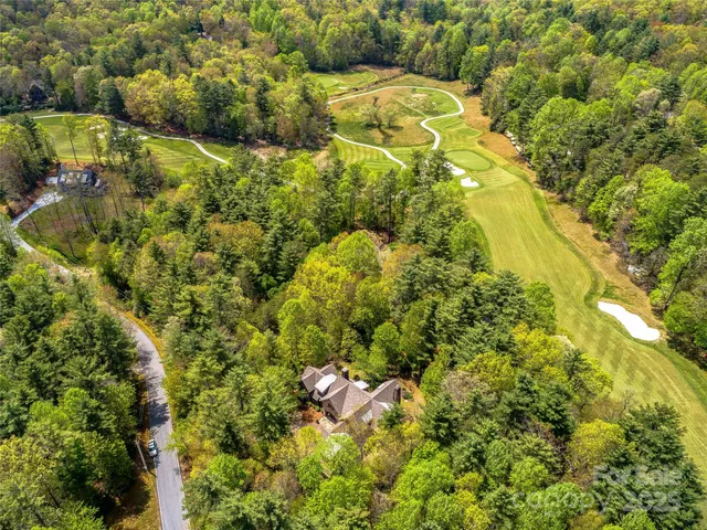 a view of a lush green forest with a houses