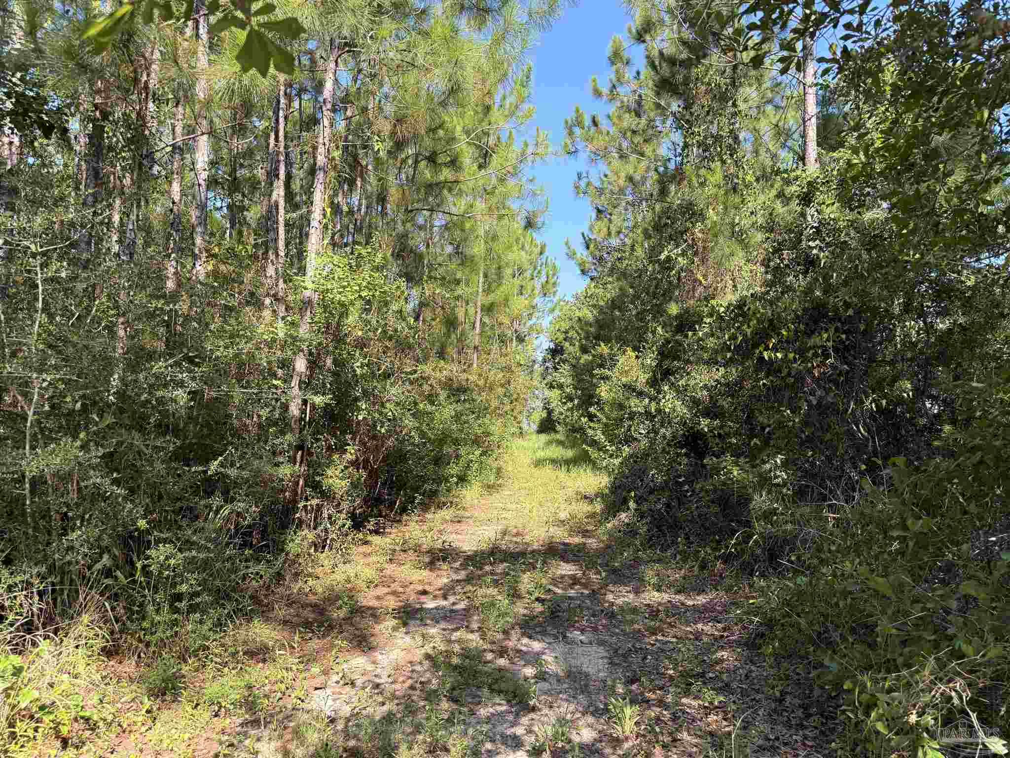 879 Dolphin Road Milton, FL 32583 - Photo 20 of 20