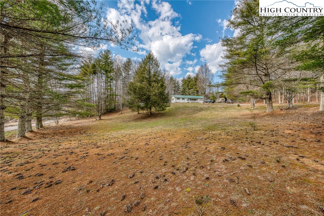 557 Waddell Road Mountain City, TN 37683 - Photo 13 of 48