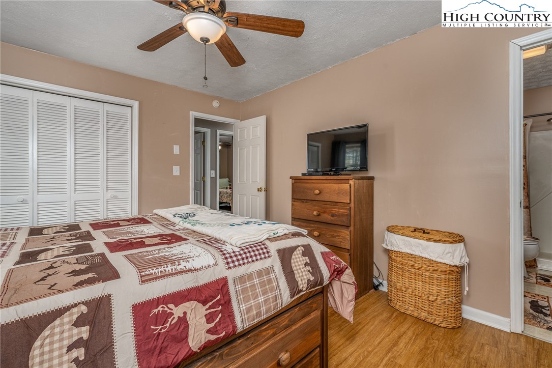 557 Waddell Road Mountain City, TN 37683 - Photo 34 of 48