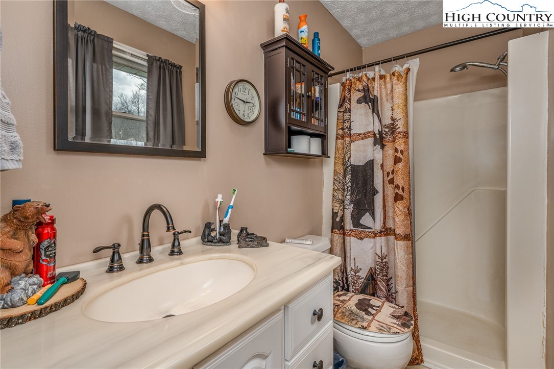 557 Waddell Road Mountain City, TN 37683 - Photo 35 of 48