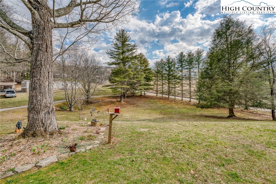 557 Waddell Road Mountain City, TN 37683 - Photo 4 of 48