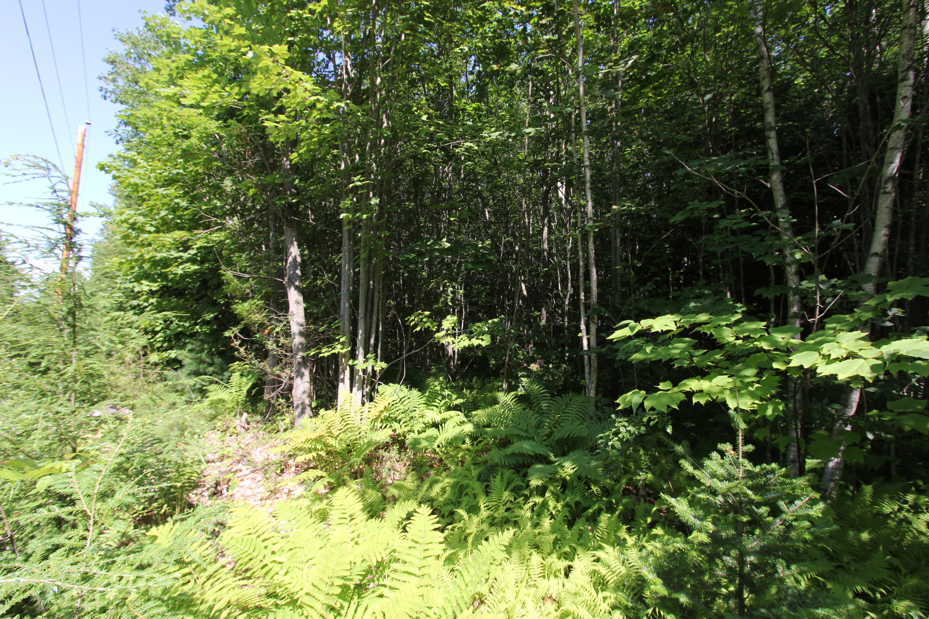 Lot 48-3 Dearborn Road Canton, ME 04221 - Photo 4 of 4 IMG_0197