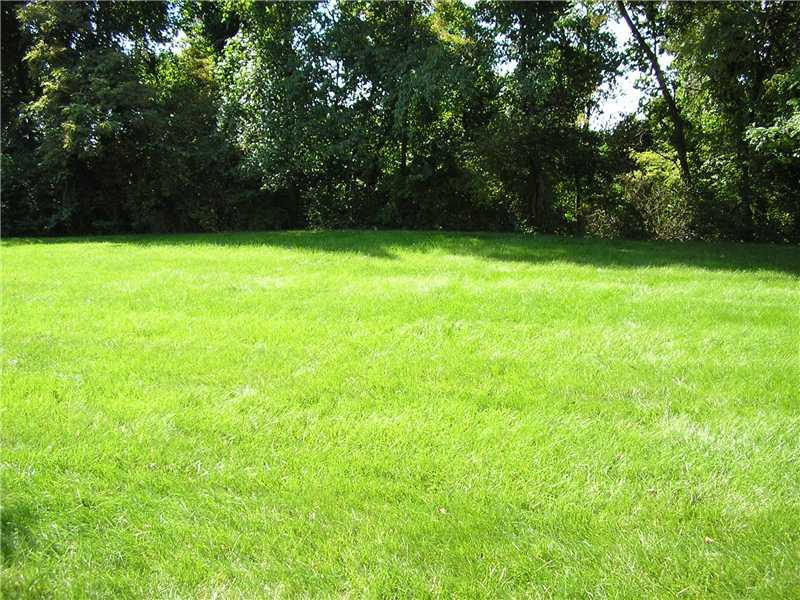 Yard/Garden. 