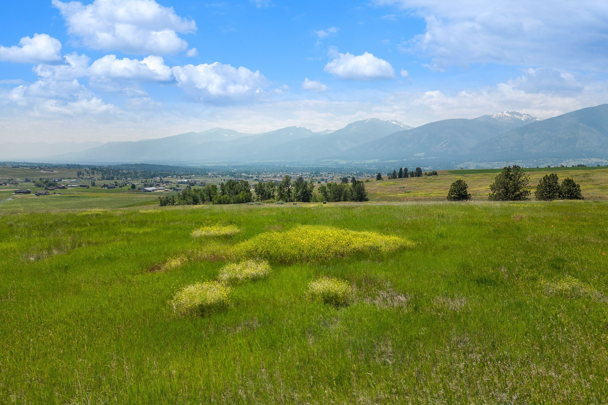 1131 Aspen Ridge Trail Florence, MT 59833 - Photo 4 of 10 Gallery Image 4