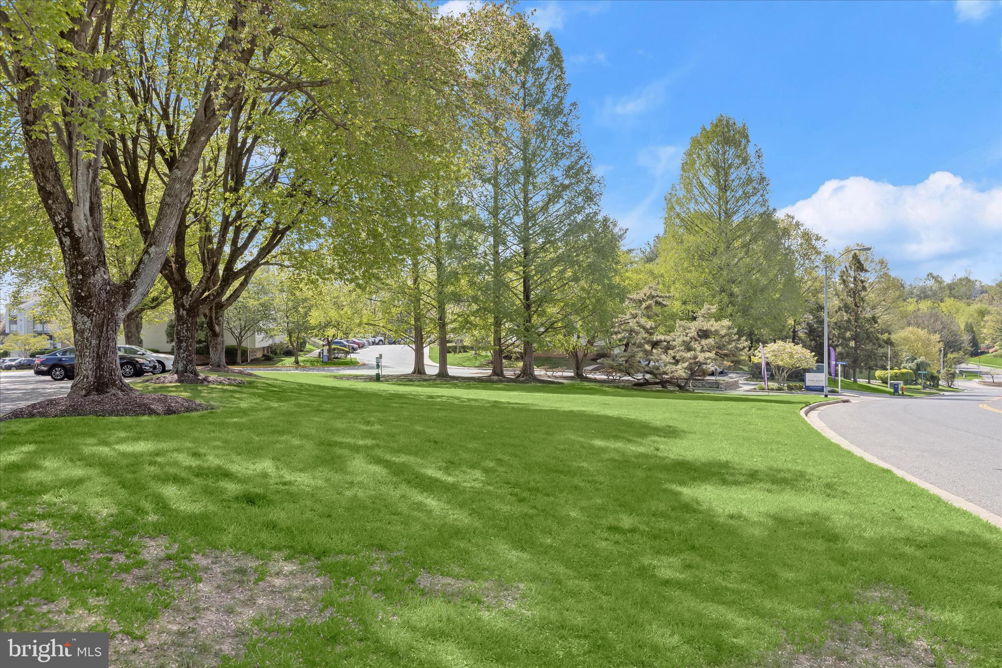 West Hills Road Baltimore, MD 21209 - Photo 22 of 32 a view of a park with large trees