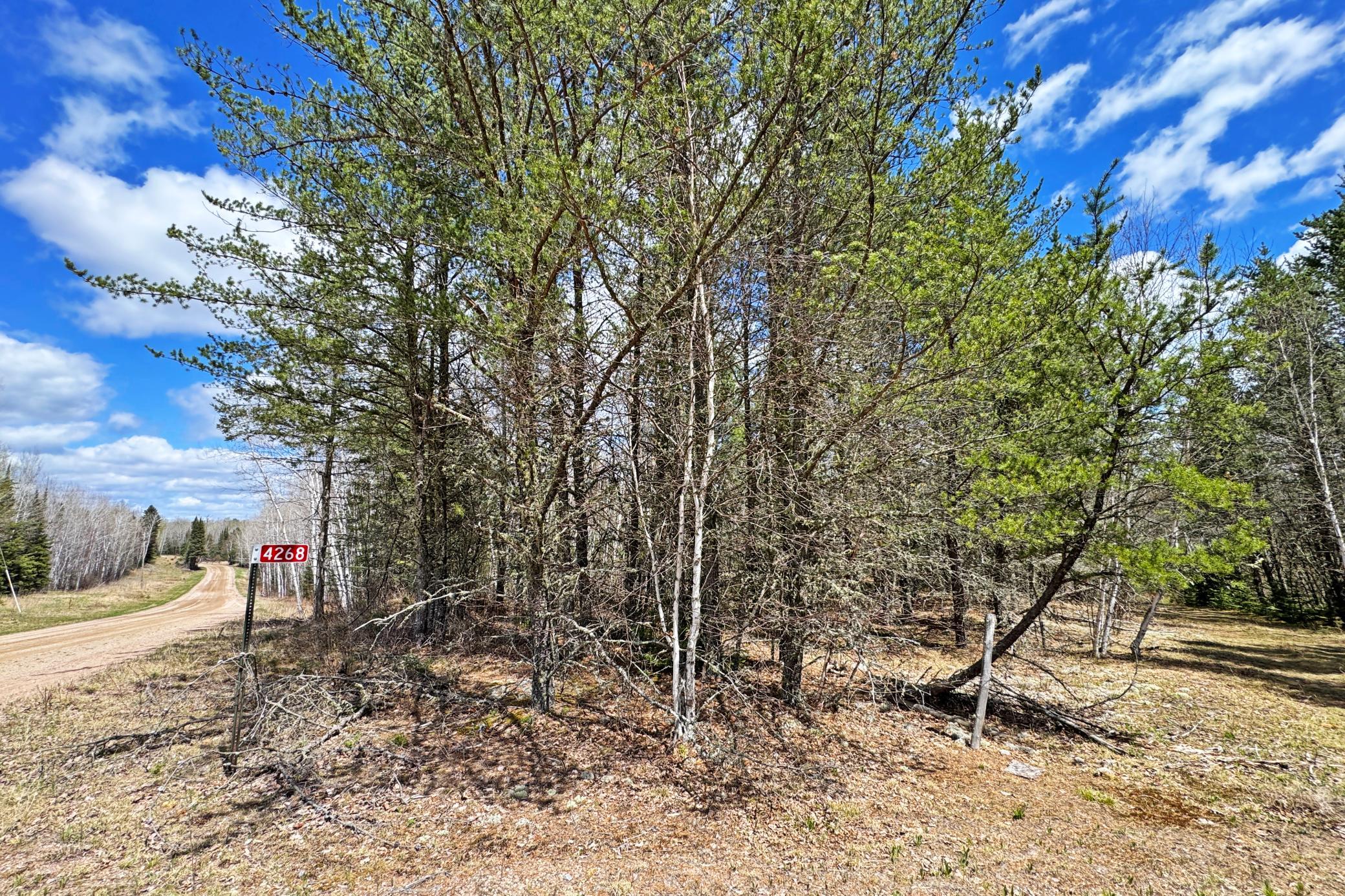 4268 Crane Lake Road Orr, MN 55771 - Photo 14 of 25