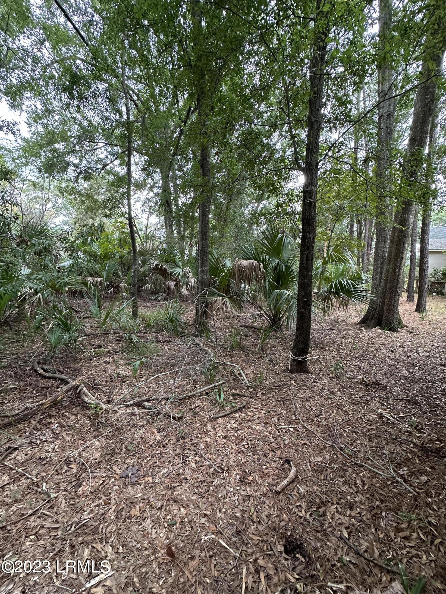 33 Winding Way Beaufort, SC 29907 - Photo 18 of 20 EA456E64-3136-4898-8CF0-DA4109000F7F