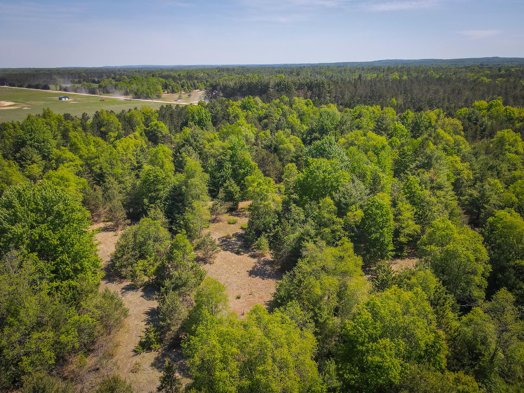 Parcel C Niemi Road Kaleva, MI 49645 - Photo 17 of 28 DJI_0283
