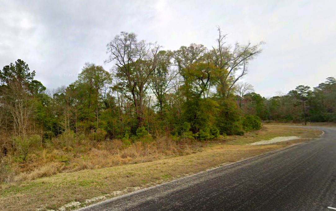 2-11-15 Tbd Remington Road Huntsville, TX 77340 - Photo 6 of 15 a view of a yard with a tree