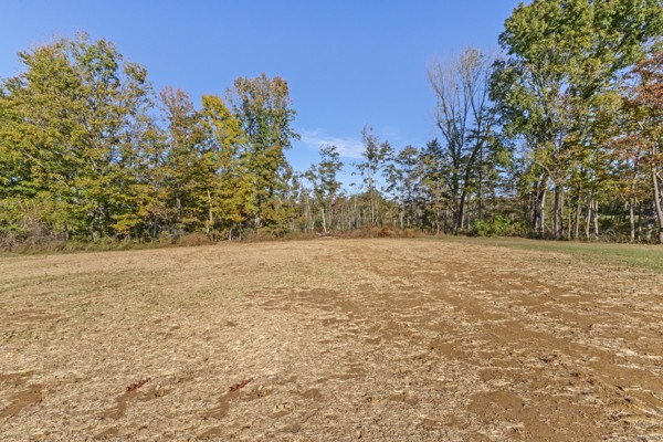 1030 Hanestown Road Lafayette, TN 37083 - Photo 46 of 48 a view of yard
