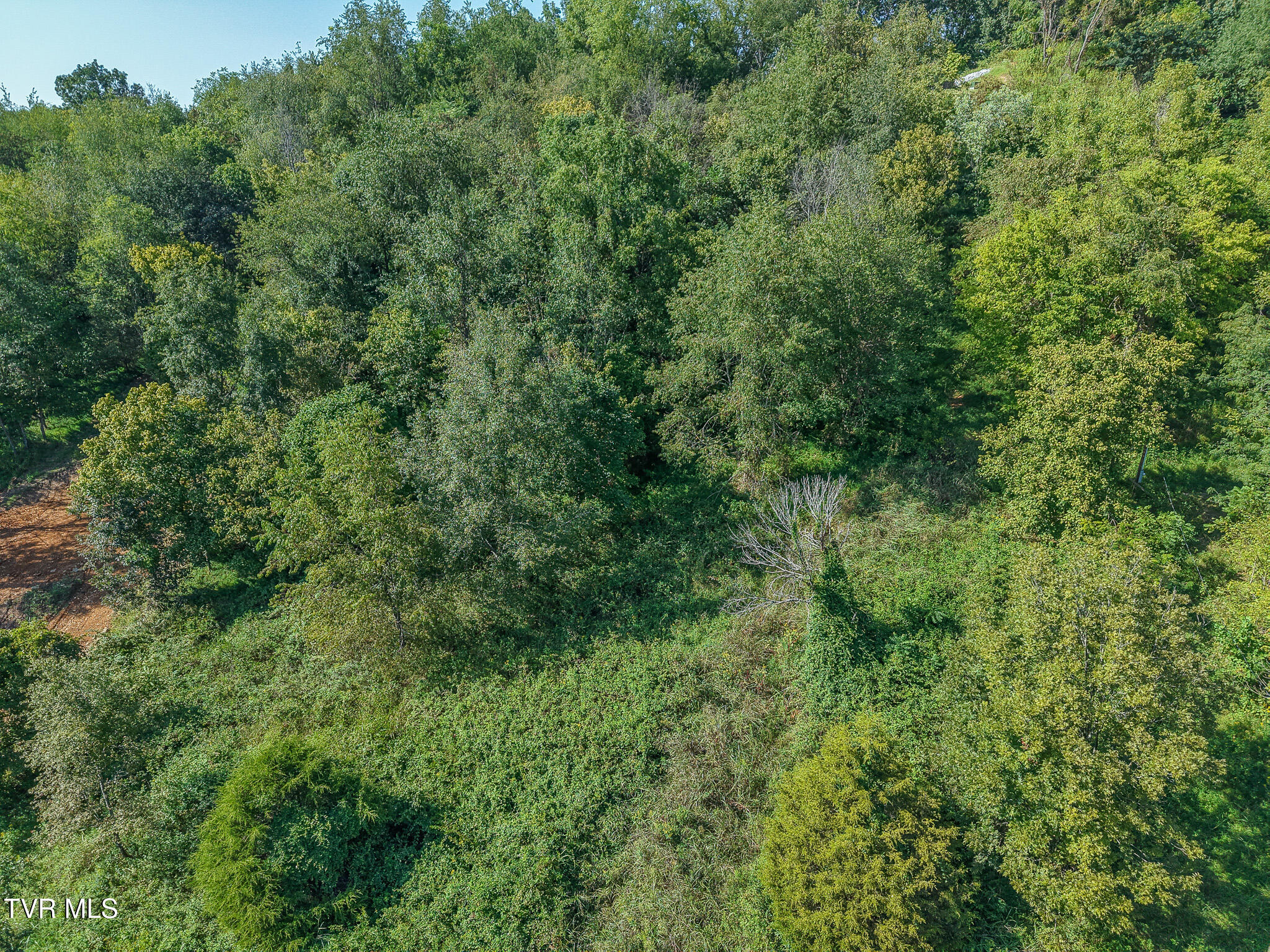 Lot 5 Charles Johnson Road Chuckey, TN 37641 - Photo 8 of 9 DJI_20260905162456_0202_D