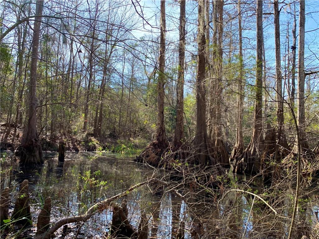 62516 Fish Hatchery Road Lacombe, LA 70445 - Photo 15 of 32