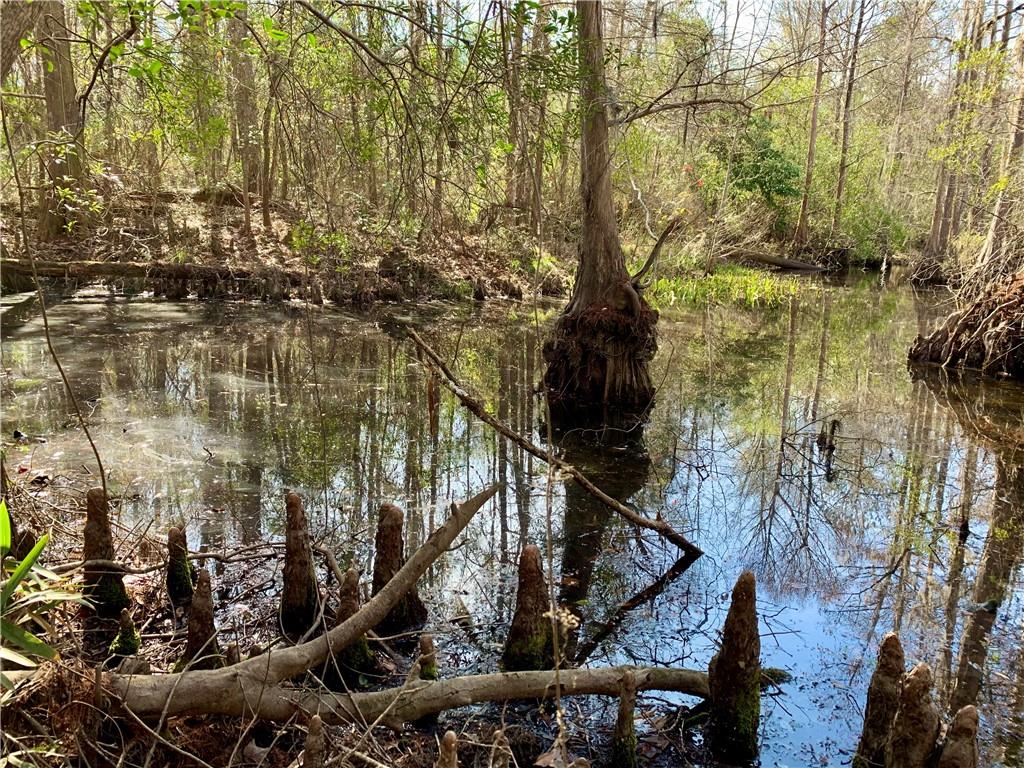 62516 Fish Hatchery Road Lacombe, LA 70445 - Photo 16 of 32