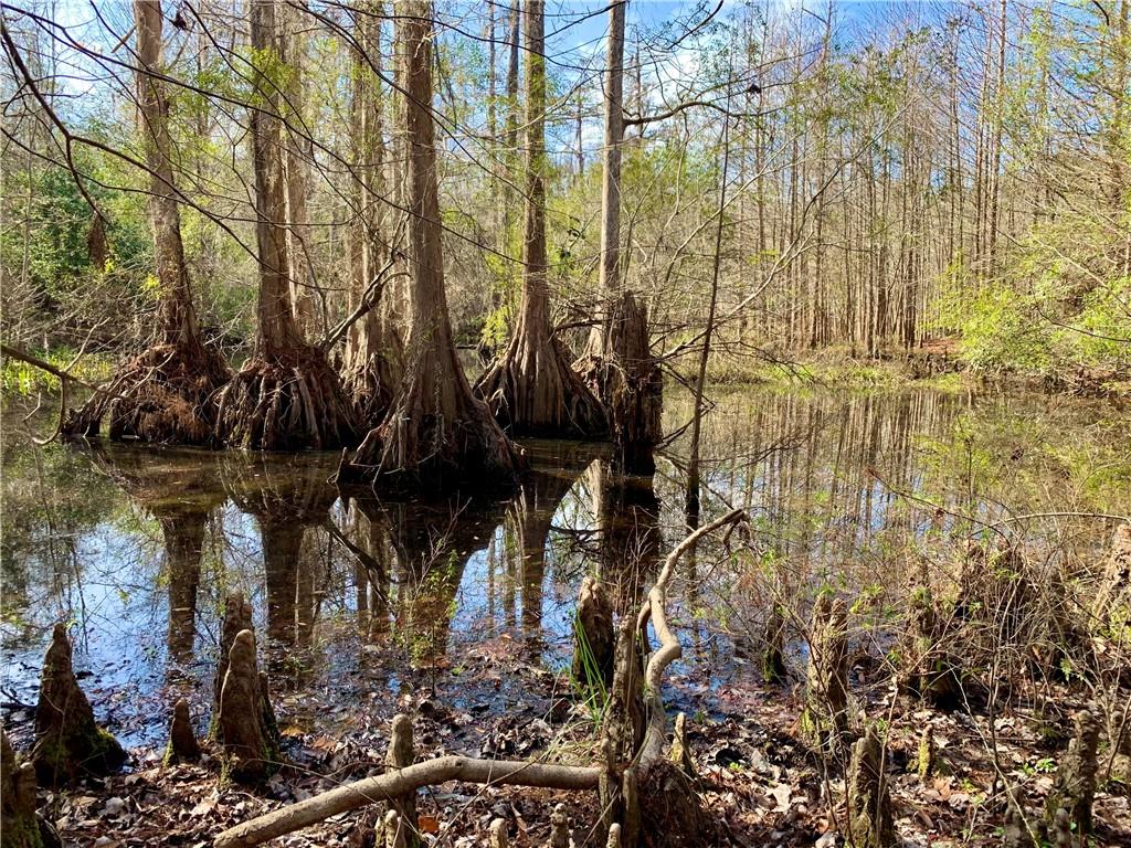 62516 Fish Hatchery Road Lacombe, LA 70445 - Photo 17 of 32