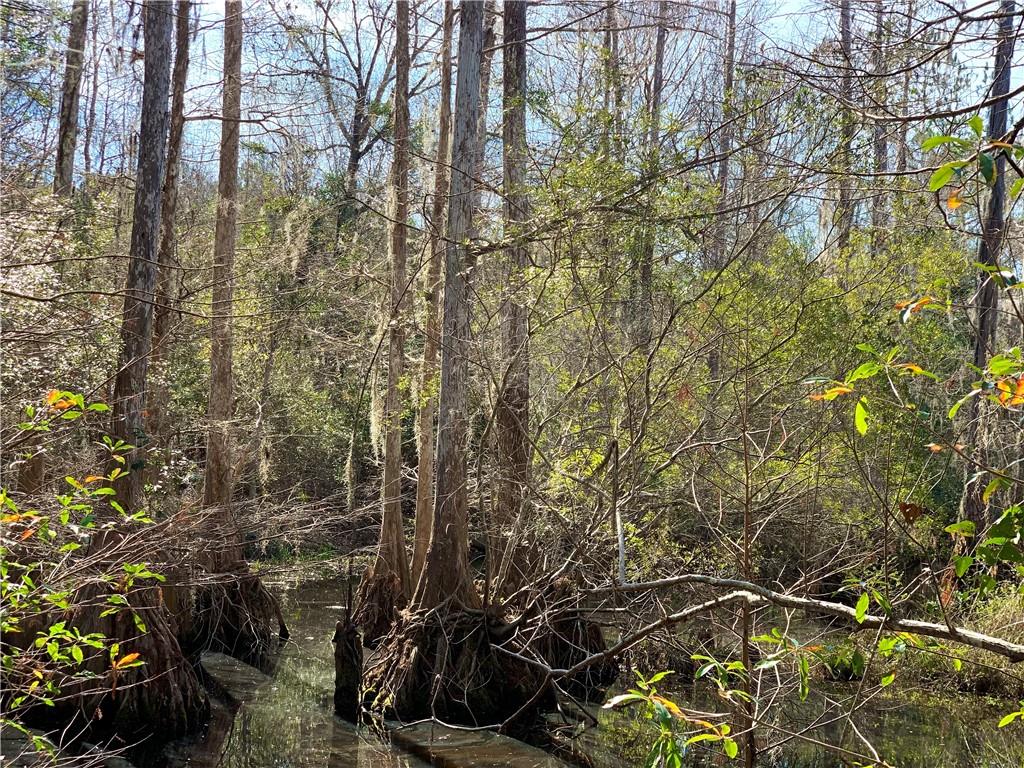 62516 Fish Hatchery Road Lacombe, LA 70445 - Photo 18 of 32