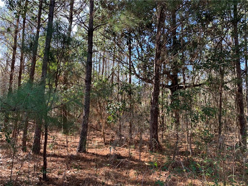 62516 Fish Hatchery Road Lacombe, LA 70445 - Photo 19 of 32