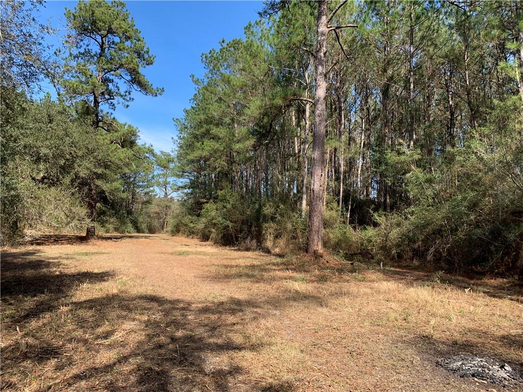 62516 Fish Hatchery Road Lacombe, LA 70445 - Photo 2 of 32