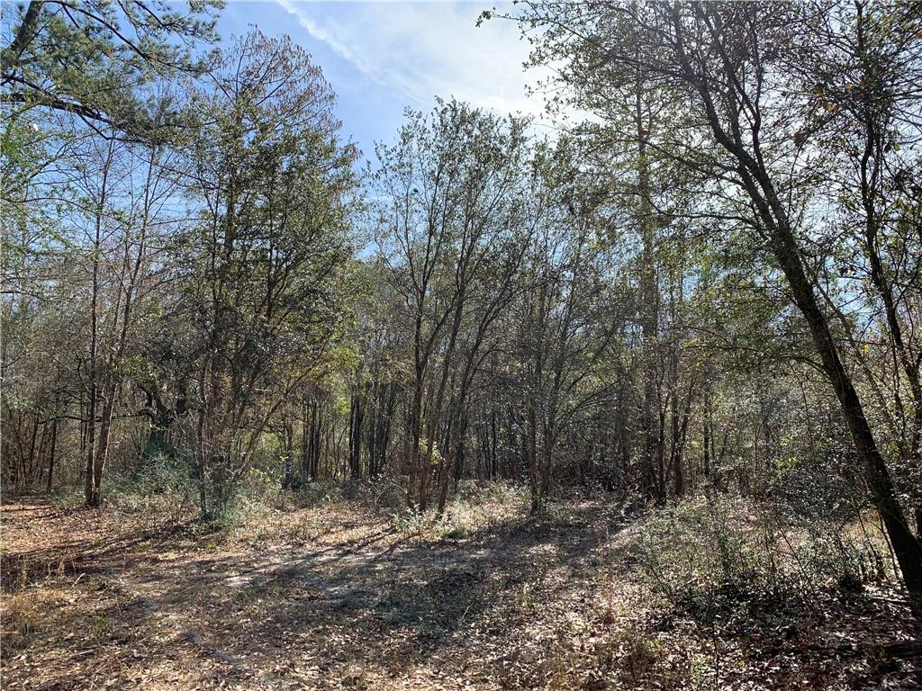 62516 Fish Hatchery Road Lacombe, LA 70445 - Photo 24 of 32