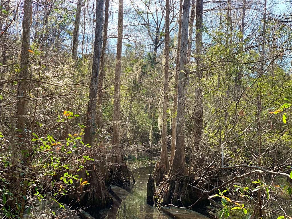 62516 Fish Hatchery Road Lacombe, LA 70445 - Photo 25 of 32