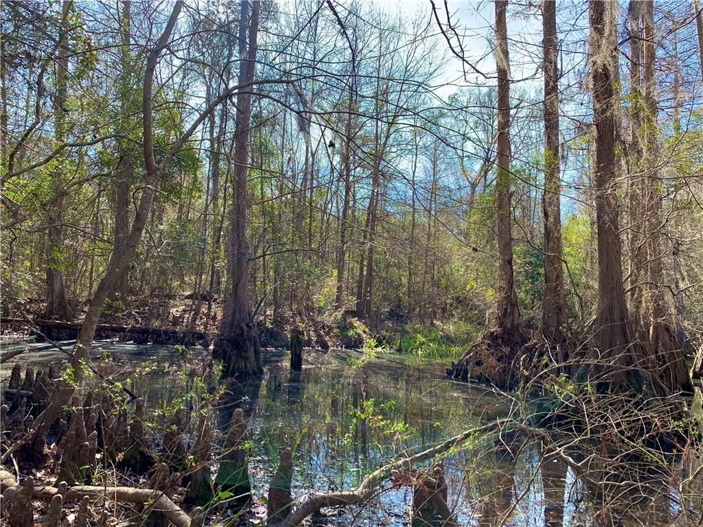 62516 Fish Hatchery Road Lacombe, LA 70445 - Photo 26 of 32