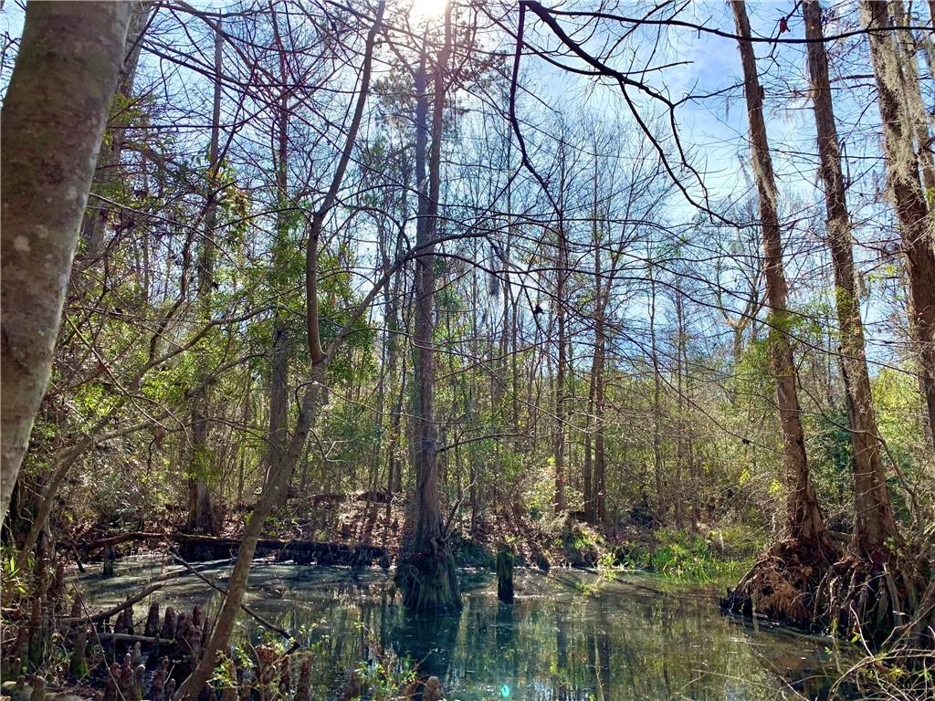 62516 Fish Hatchery Road Lacombe, LA 70445 - Photo 27 of 32