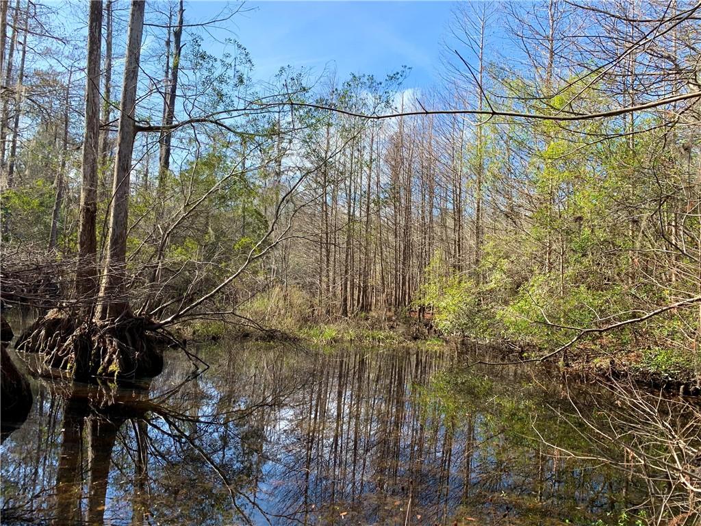 62516 Fish Hatchery Road Lacombe, LA 70445 - Photo 29 of 32