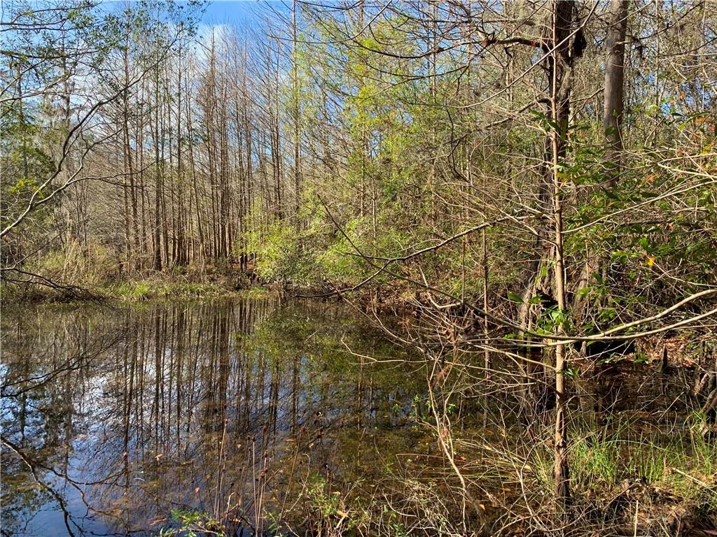 62516 Fish Hatchery Road Lacombe, LA 70445 - Photo 30 of 32