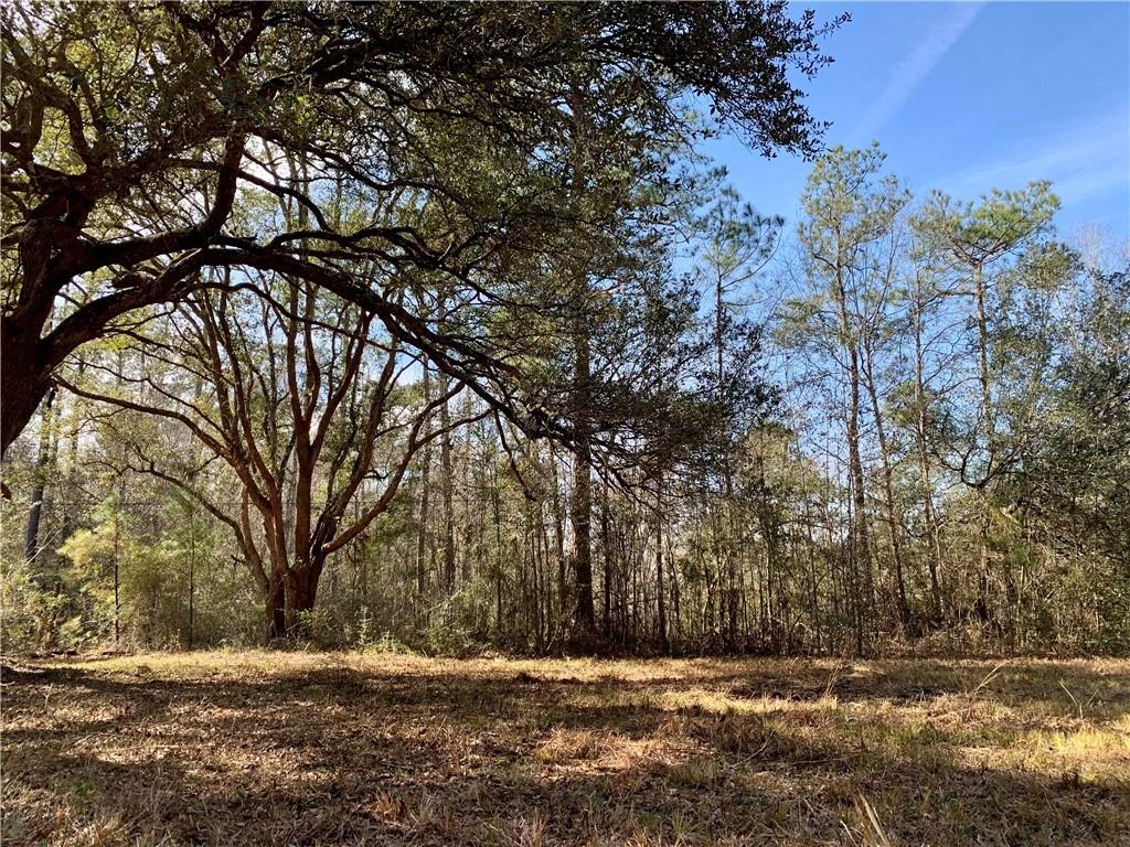 62516 Fish Hatchery Road Lacombe, LA 70445 - Photo 3 of 32
