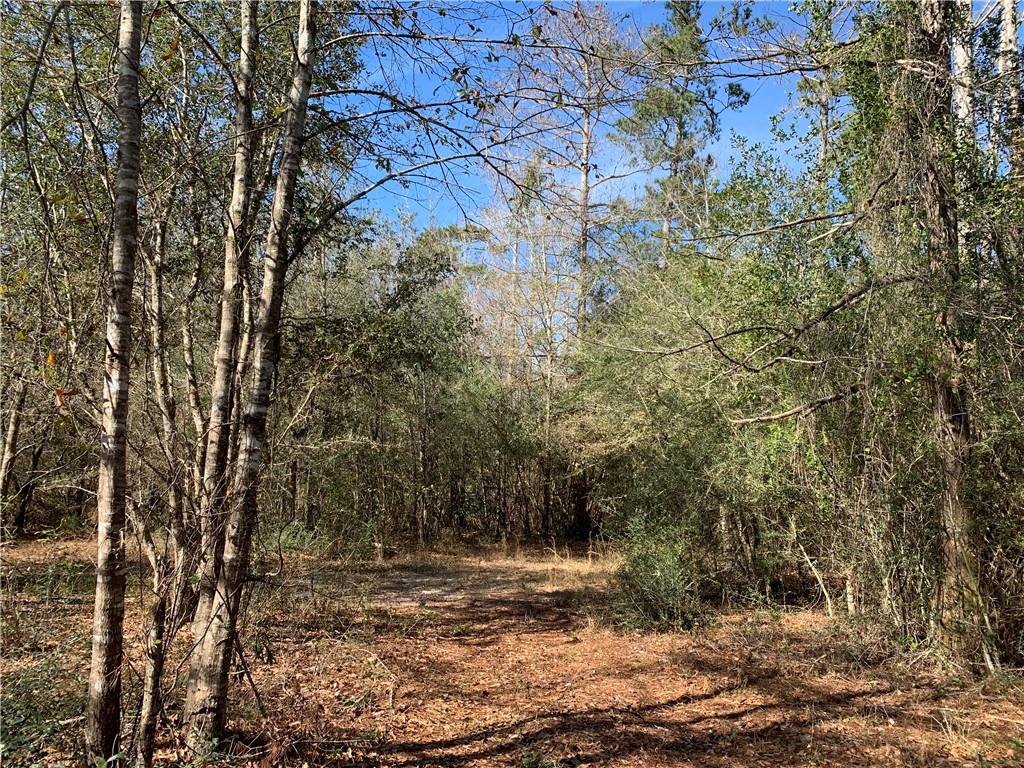 62516 Fish Hatchery Road Lacombe, LA 70445 - Photo 31 of 32