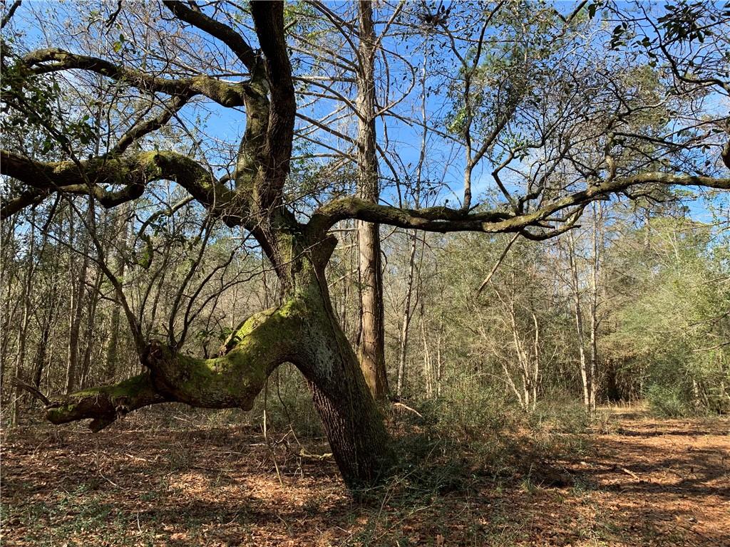 62516 Fish Hatchery Road Lacombe, LA 70445 - Photo 32 of 32