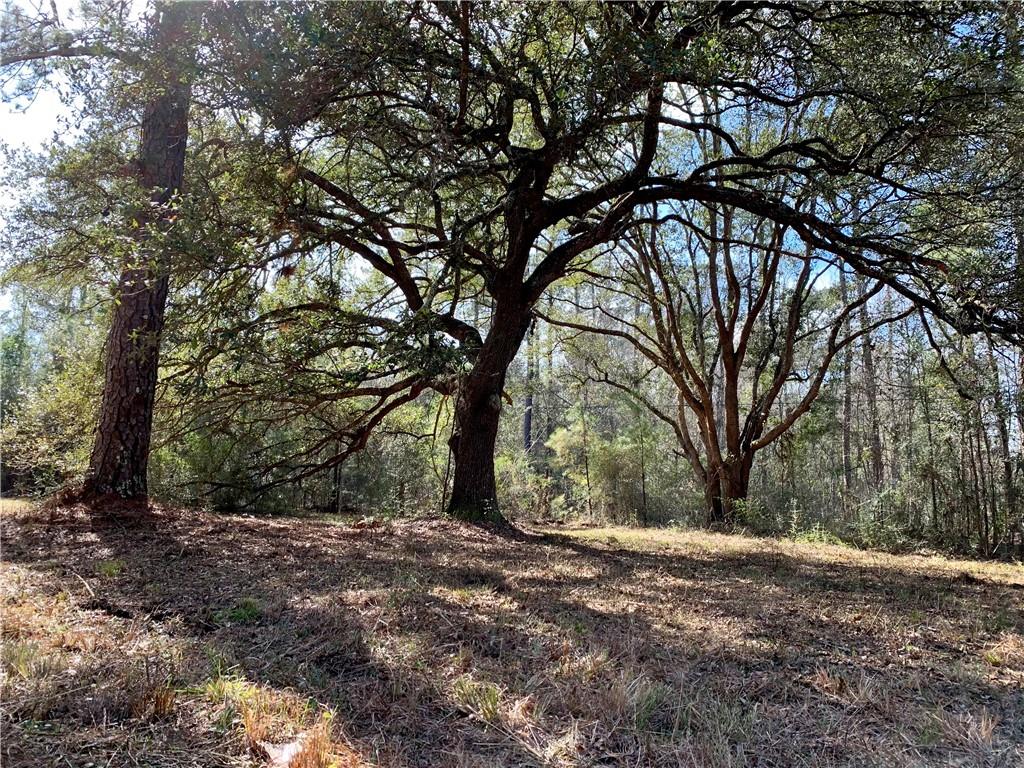62516 Fish Hatchery Road Lacombe, LA 70445 - Photo 5 of 32