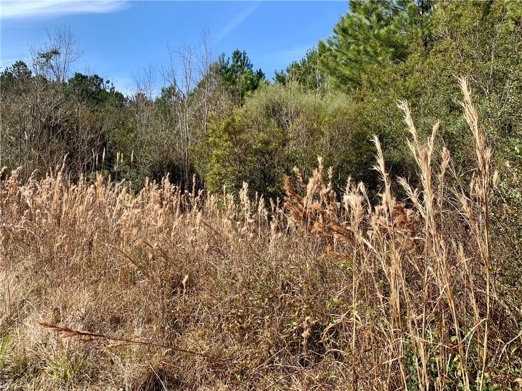62516 Fish Hatchery Road Lacombe, LA 70445 - Photo 6 of 32