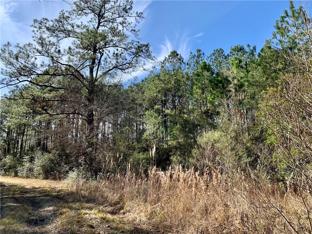62516 Fish Hatchery Road Lacombe, LA 70445 - Photo 7 of 32