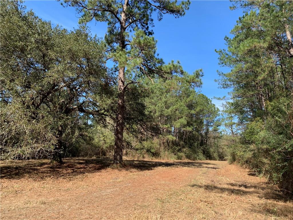 62516 Fish Hatchery Road Lacombe, LA 70445 - Photo 8 of 32