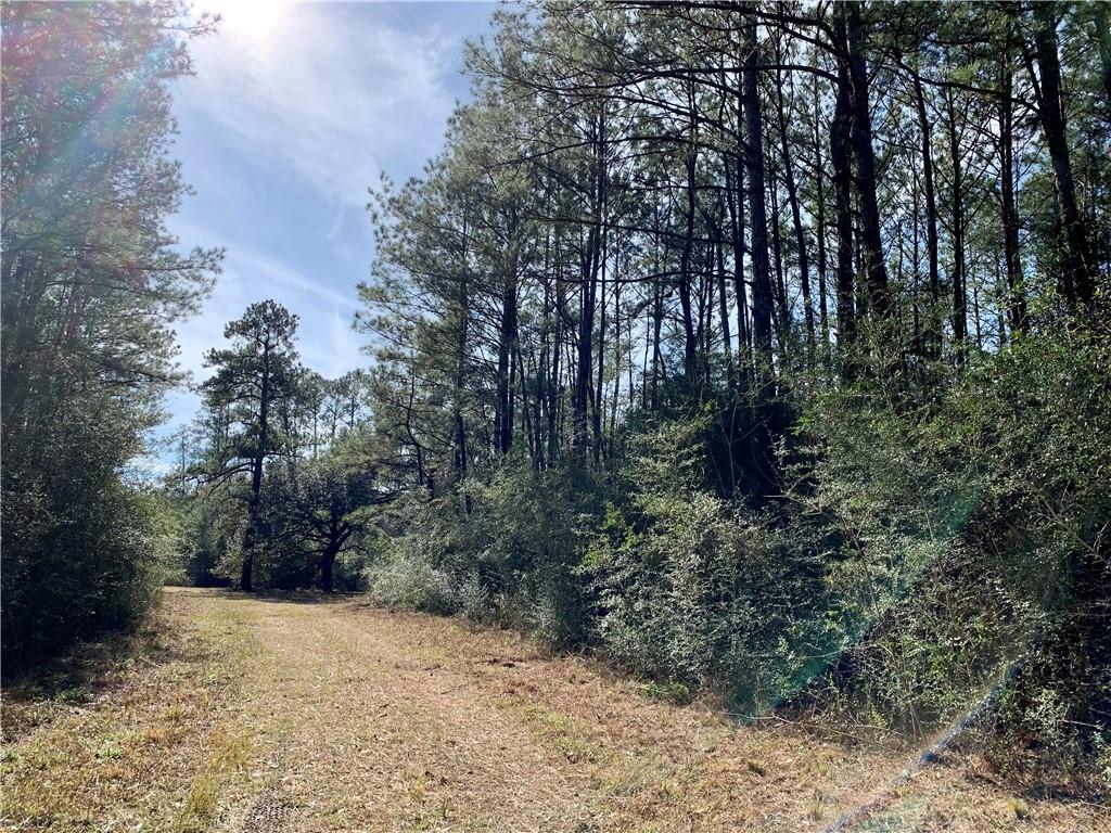 62516 Fish Hatchery Road Lacombe, LA 70445 - Photo 9 of 32