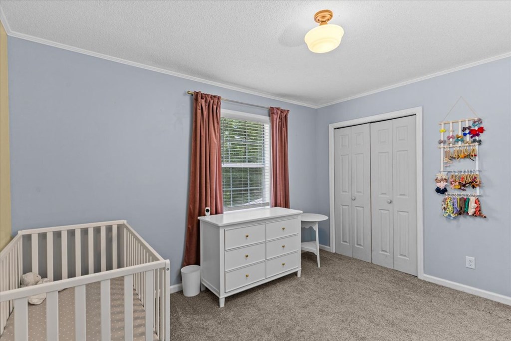 317 Holmes Road Newton, AL 36352 - Photo 20 of 55 Gallery Image 20