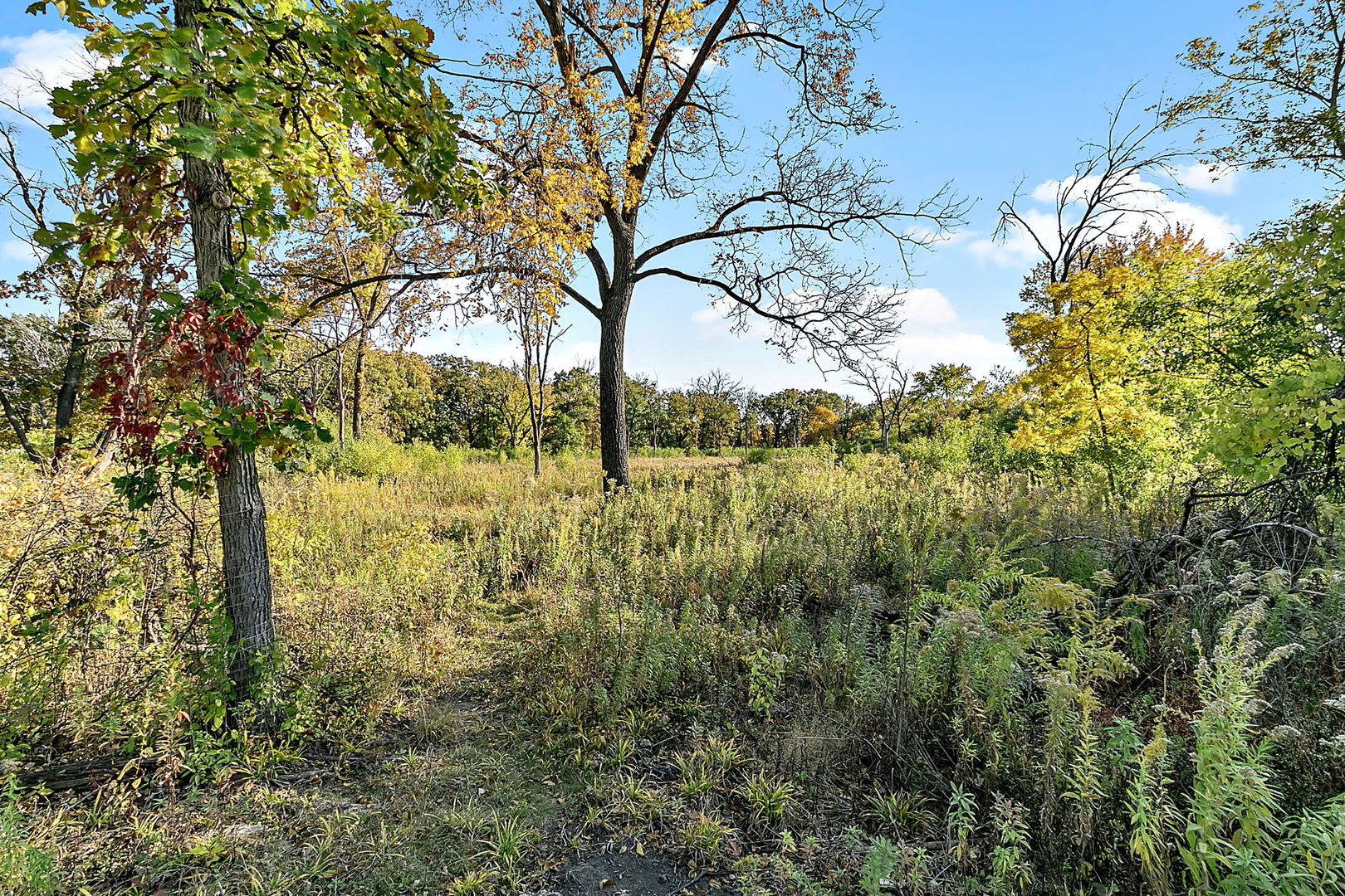 216 Waubansee Road Riverside, IL 60546 - Photo 32 of 37 Gallery Image 32