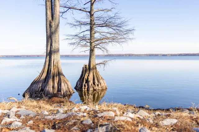 $125,000 | 124 Algee Street, Tiptonville, TN 38079