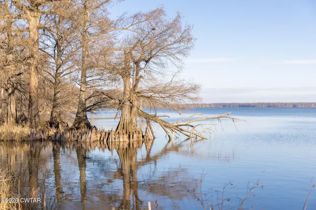 $125,000 | 124 Algee Street, Tiptonville, TN 38079