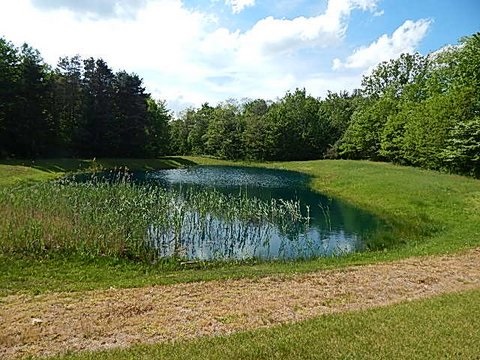 4094 Oak Road Vassar, MI 48768 - Photo 20 of 24