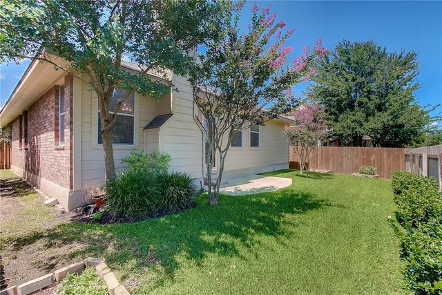 a view of a backyard with plants and a large tree