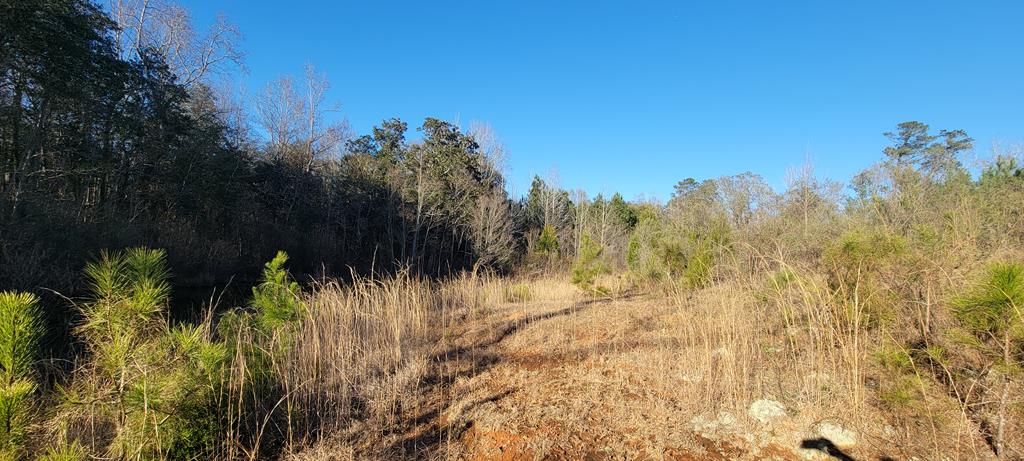 50.45-acres Trawick Road Dothan, AL 36301 - Photo 32 of 62