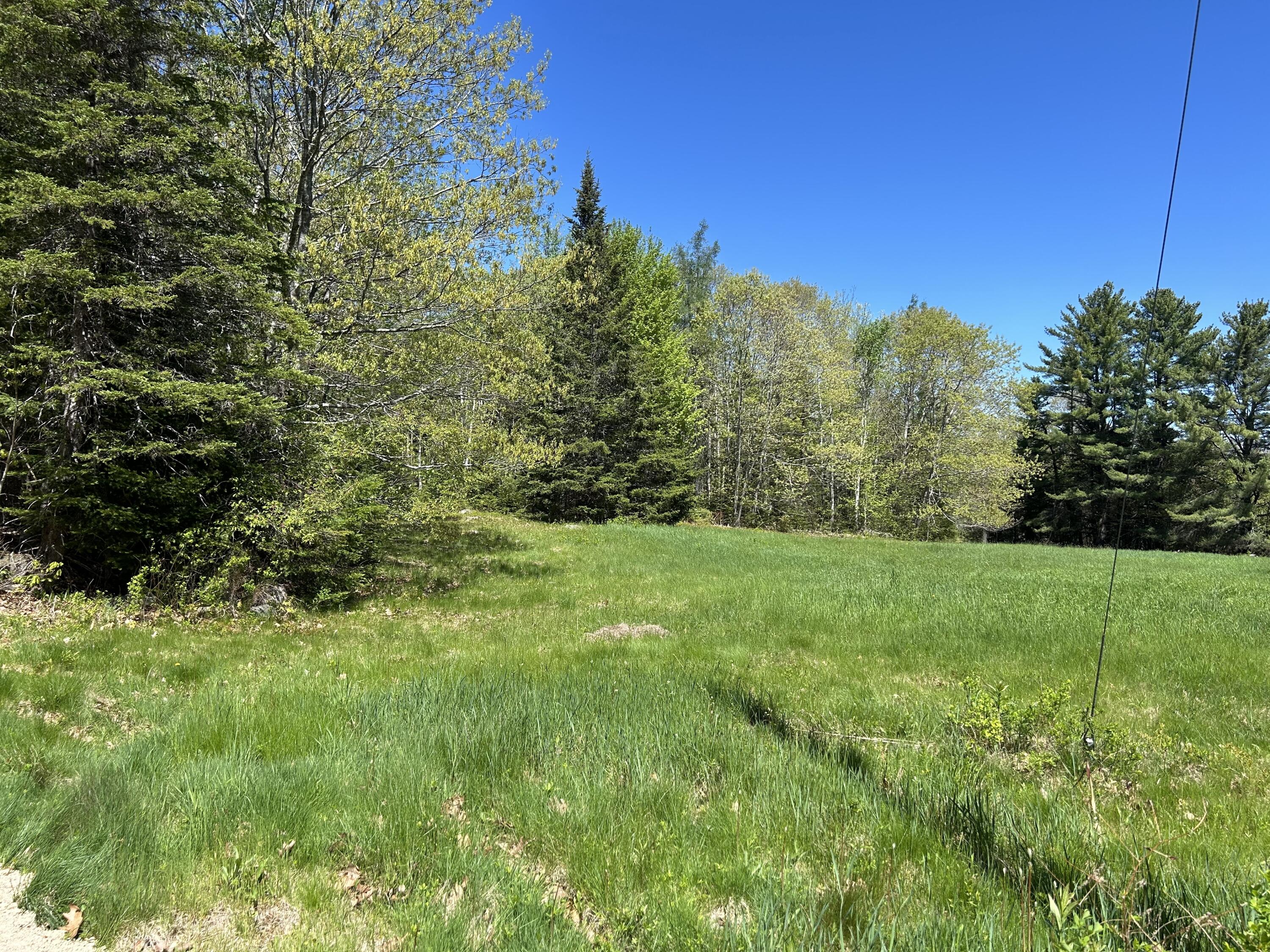 3 Cemetery Road Gouldsboro, ME 04607 - Photo 17 of 21 Field at the road