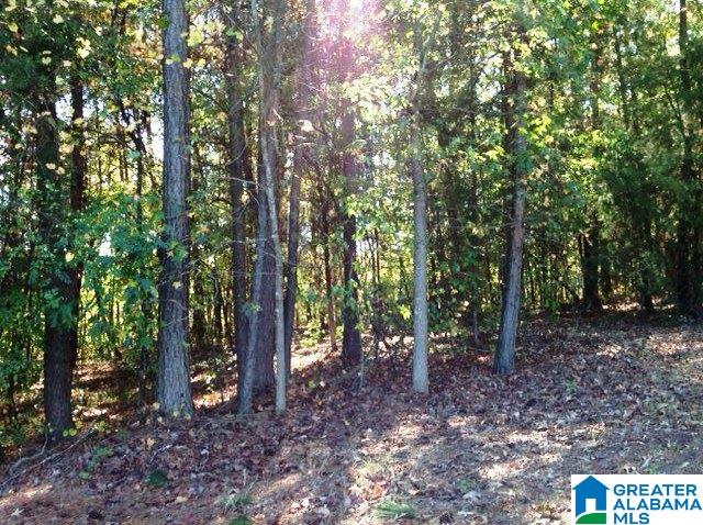 0 Whispering Pines Road, Unit 1 AMD 2 Oxford, AL 36203 - Photo 27 of 30