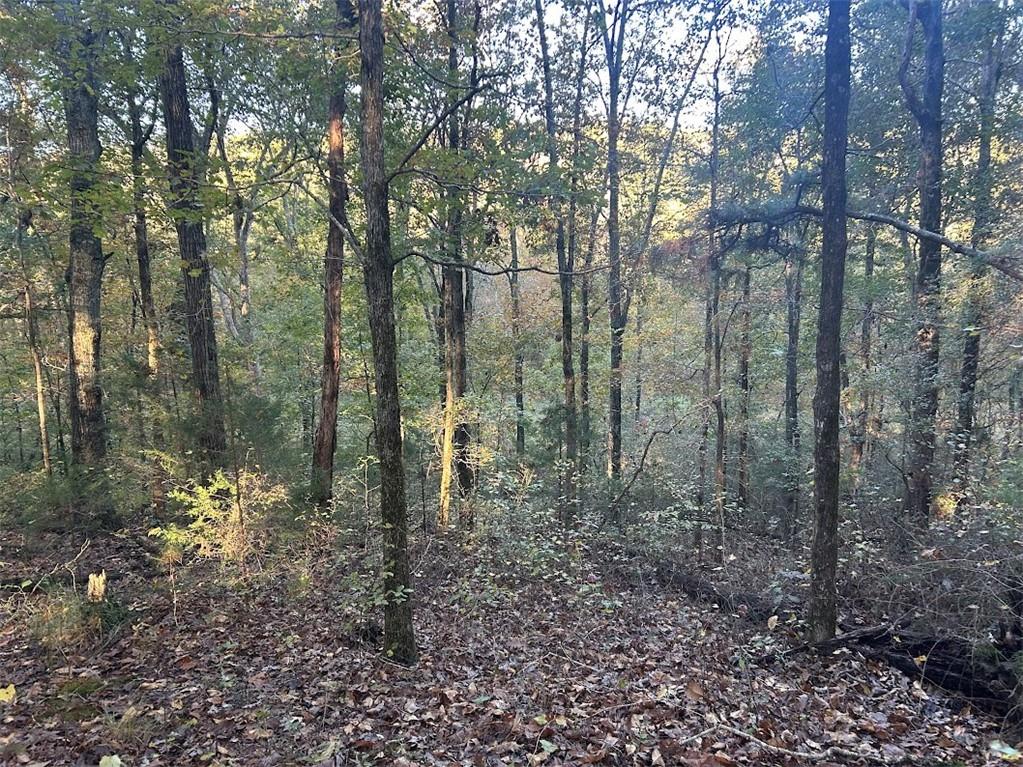 0 Old Columbus Road Bowdon, GA 30108 - Photo 10 of 26