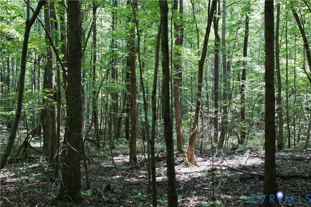 0 Bellevue Road Halifax, VA 24558 - Photo 12 of 12 a view of outdoor space and green space