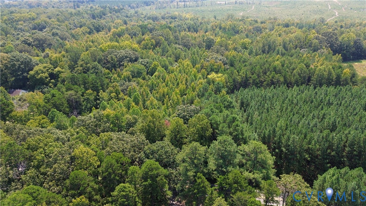 0 Bellevue Road Halifax, VA 24558 - Photo 2 of 12 an aerial view of residential house with outdoor space and trees all around