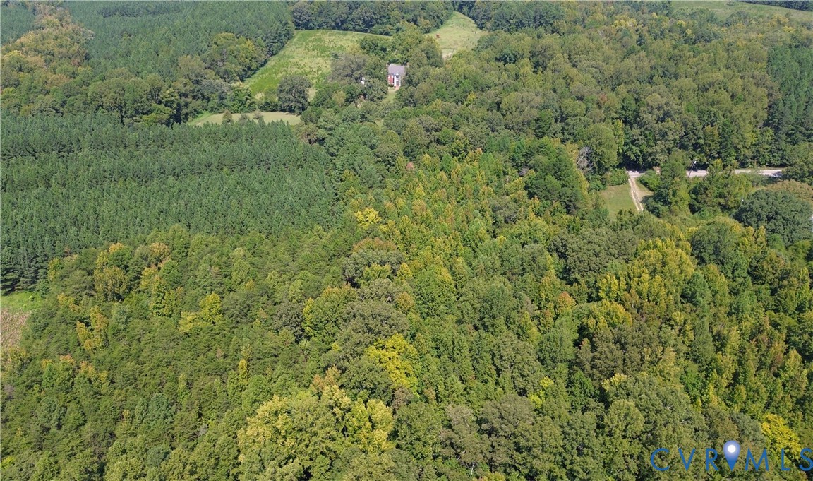 0 Bellevue Road Halifax, VA 24558 - Photo 4 of 12 a view of a big yard with plants and large trees
