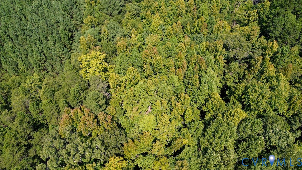 0 Bellevue Road Halifax, VA 24558 - Photo 6 of 12 a view of a green field